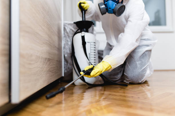 Best Pest Inspection Near Me  in Alma, MI