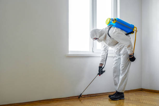 Reliable Alma, MI Pest Control Solutions