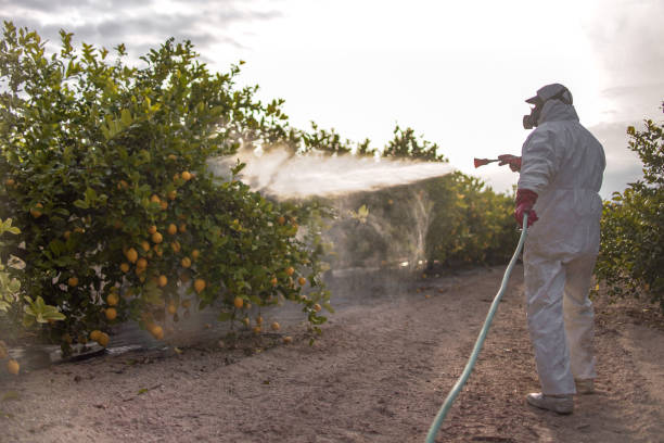 Best Affordable Pest Control Services  in Alma, MI