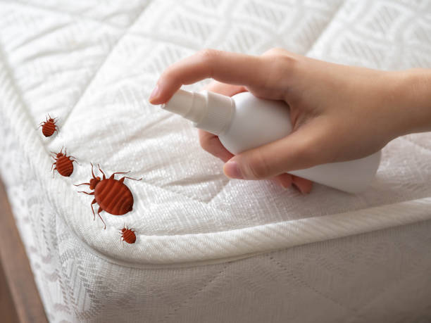 Best Local Pest Control Services  in Alma, MI