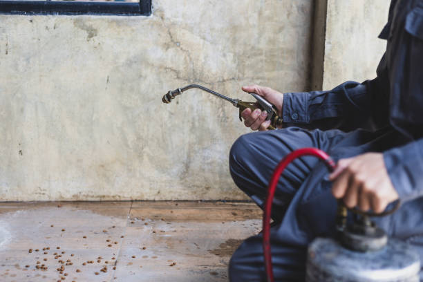 Best Pest Prevention Services  in Alma, MI