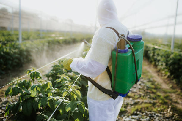 Pest Control Cost in Alma, MI